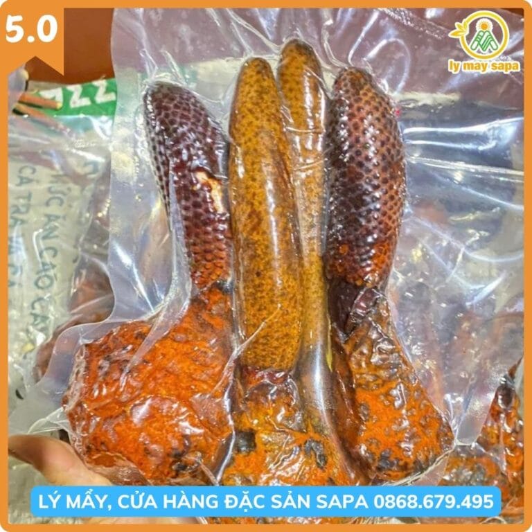 nấm tích dương rừng Tây Bắc đóng gói Lý Mẩy Sapa
