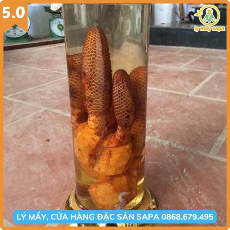 rượu ngâm nấm tích dương tăng sinh lực
