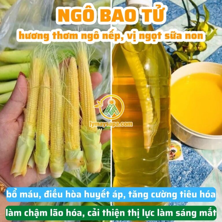cách ngâm rượu ngô bao tử