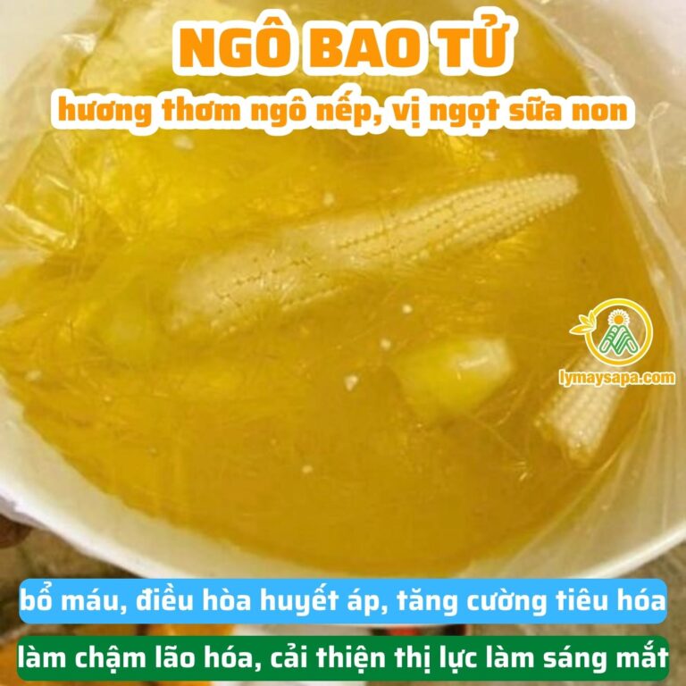 rượu ngâm ngô bao tử