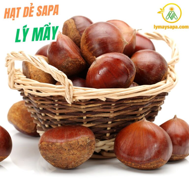 Cửa hàng đặc sản Lý Mẩy bán hạt dẻ Sapa chính gốc