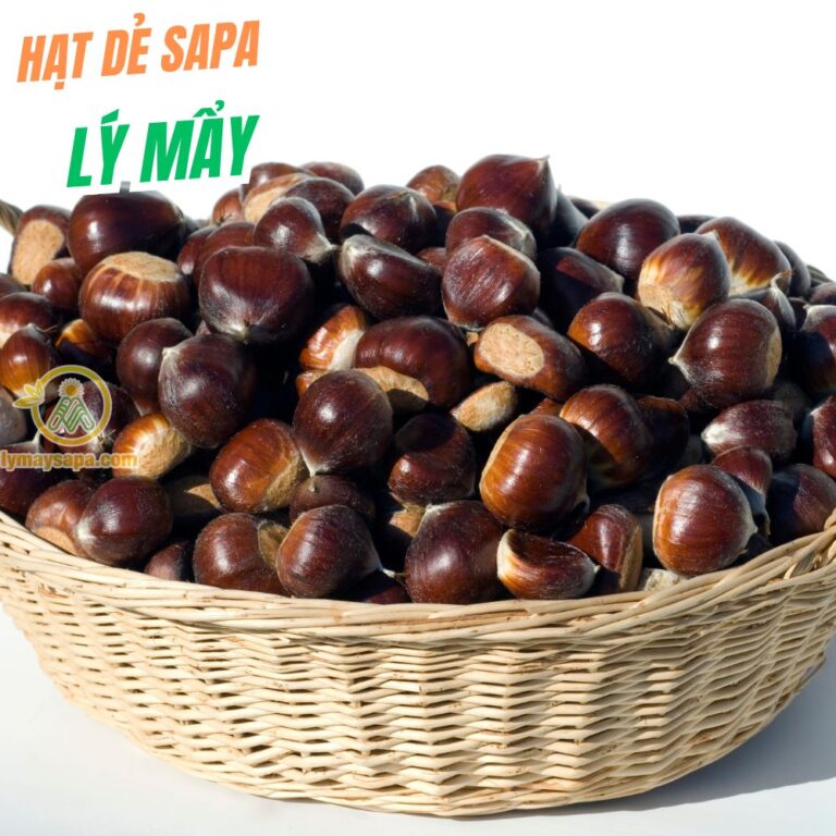 hạt dẻ sapa mùa nào ngon