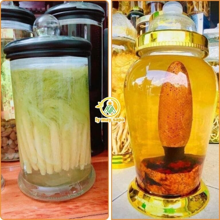 Rượu ngô bao tử và rượu thảo dược Nên chọn loại nào