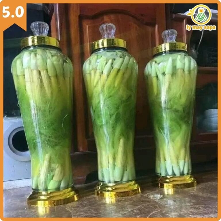 bình rượu ngô bao tử sapa