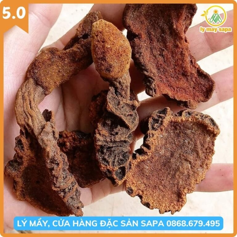 Mua nấm tích dương khô Tây Bắc