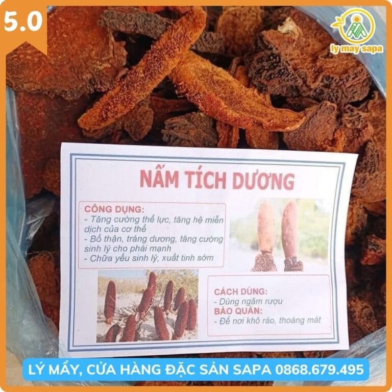 Ngâm rượu nấm tích dương Lý Mẩy