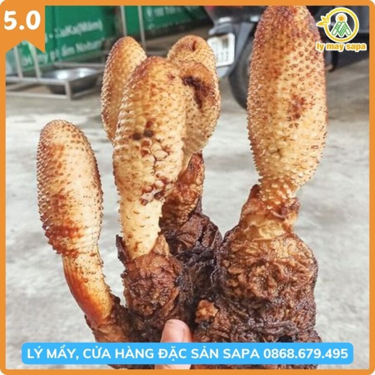 Thành phần dưỡng chất nấm tích dương gồm polysaccharides và triterpenes