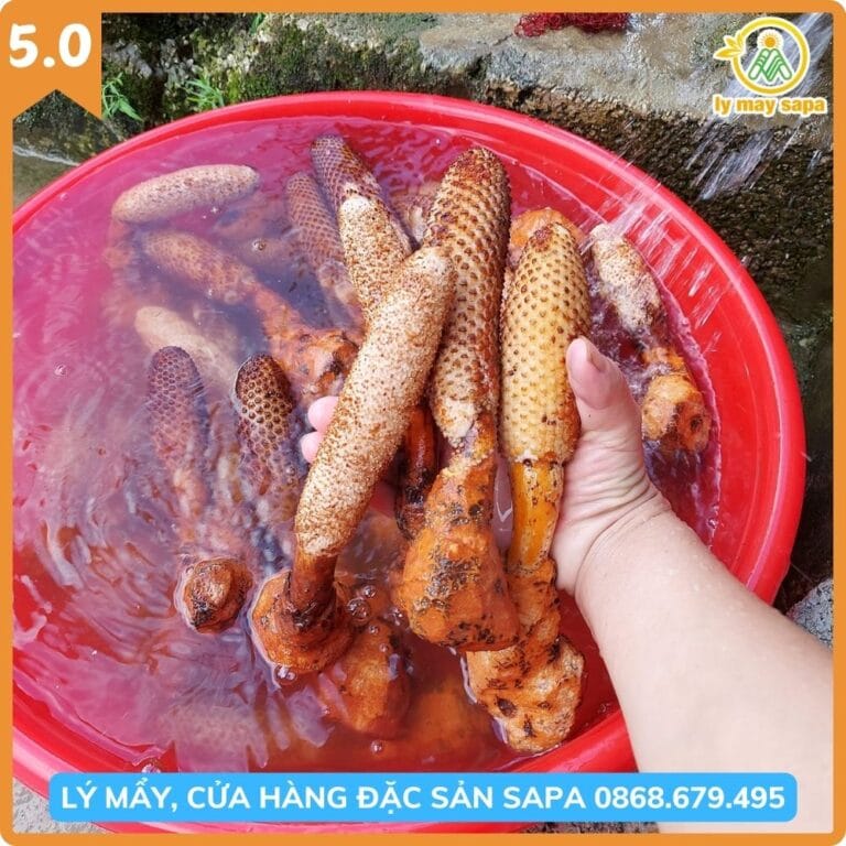 cách sơ chế nấm tích dương chuẩn Tây Bắc